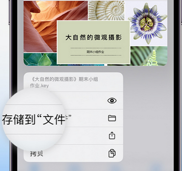 铁东apple维修中心分享iPhone文件应用中存储和找到下载文件