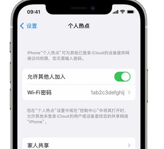 铁东apple服务站点分享iPhone上个人热点丢失了怎么办 