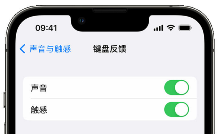 铁东苹果手机维修分享iPhone 14触感键盘使用方法 