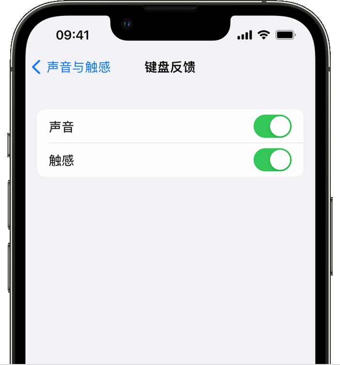 铁东苹果14维修店分享如何在 iPhone 14 机型中使用触感键盘 