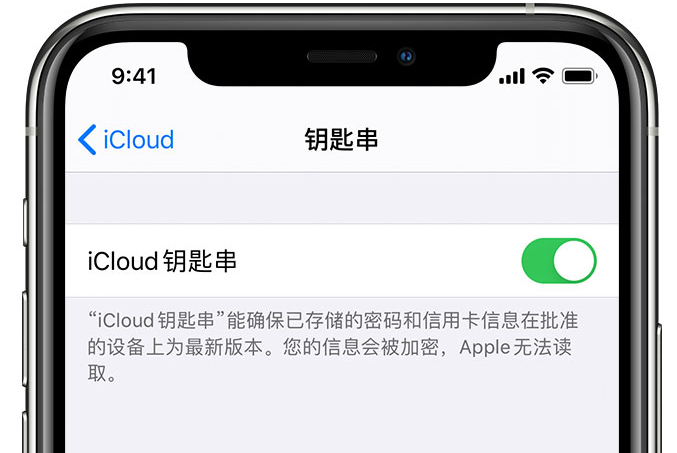 铁东苹果手机维修分享在 iPhone 上开启 iCloud 钥匙串之后会储存哪些信息 