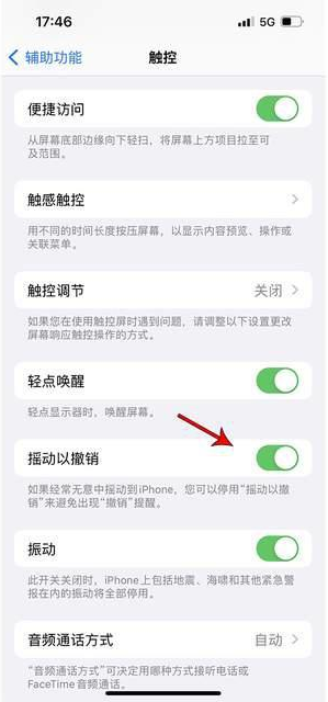 铁东苹果手机维修分享iPhone手机如何设置摇一摇删除文字 